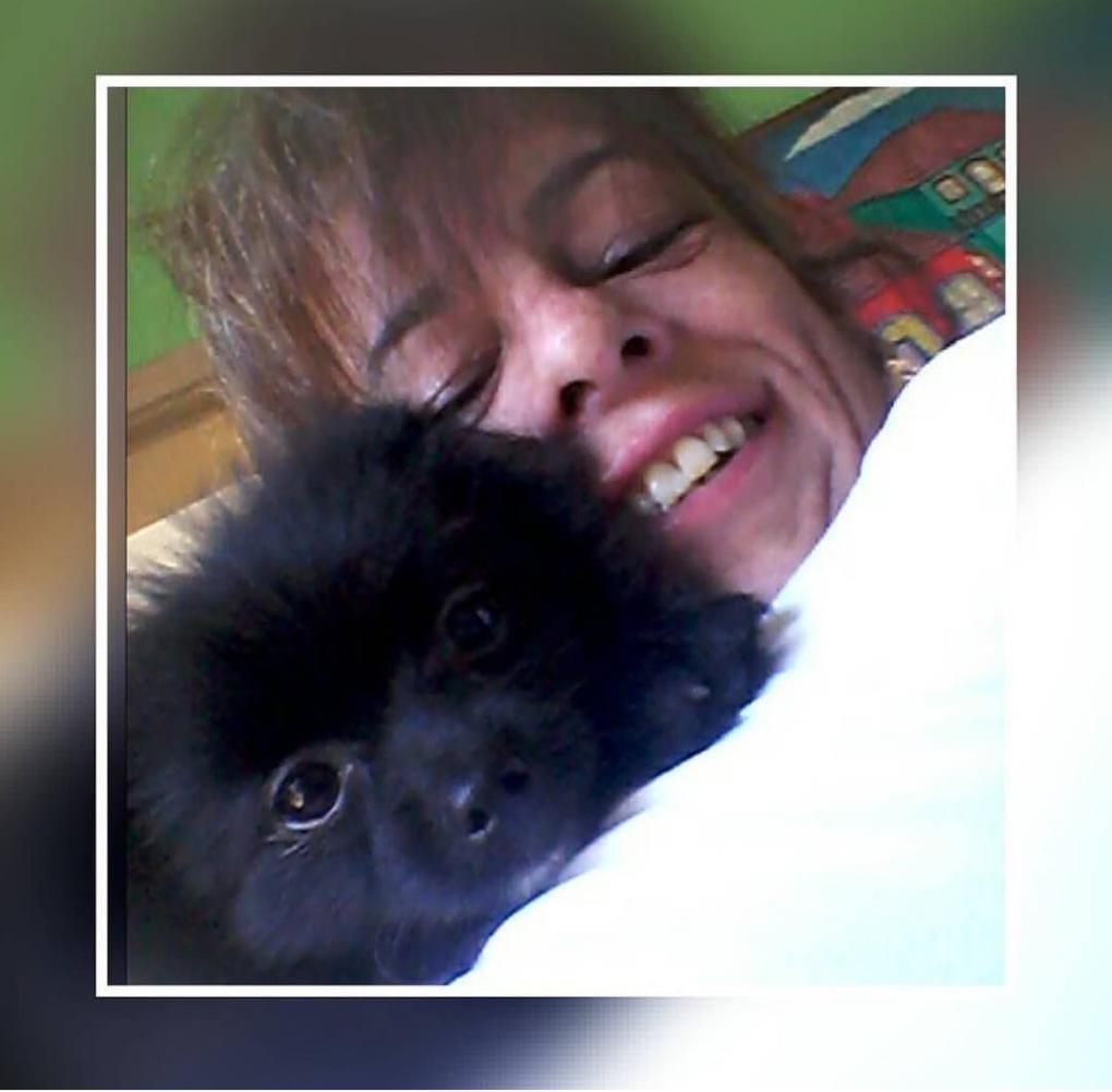 Lívia